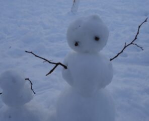 Sneeuwpret